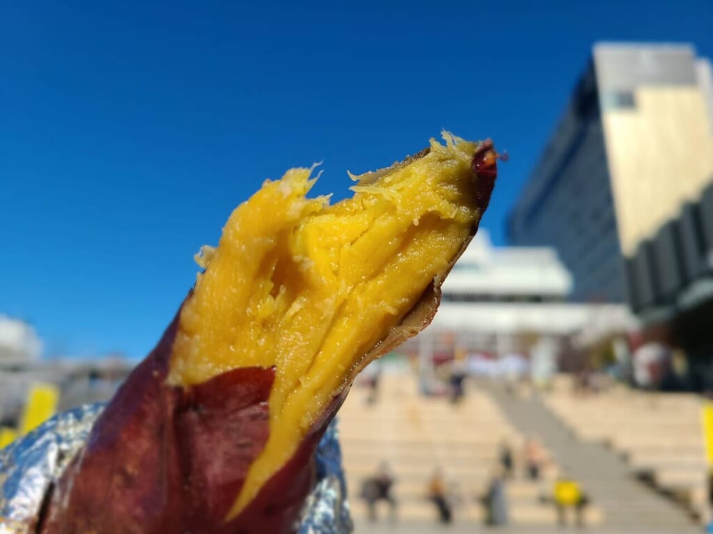 焼き芋フェス